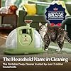 BISSELL Little Green Multi-Purpose Portable Carpet and Upholstery Cleaner, Car and Auto Detailer, with Exclusive Specialty Tools, Green, 1400B