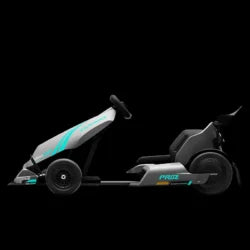Segway GoKarts Pro 2