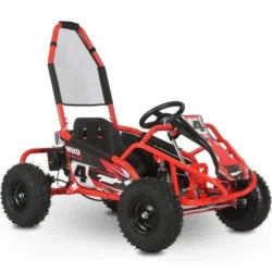 Interceptor Kids Gas Powered Go Karts.