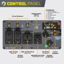 Champion Power Equipment 6500W Dual Fuel Ports Inverters Generator 201532