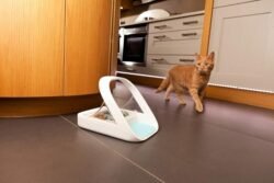 Sure Petcare -SureFlap – SureFeed – Microchip Pet Feeder – Selective-Automatic Pet Feeder Makes Meal Times Stress-Free, Suitable for Both Wet and Dry Food – MPF001