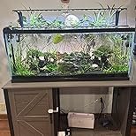 Tetra Glass Aquarium 29 Gallons, Rectangular Fish Tank, Assorted Color