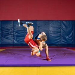 BalanceFrom 10×4 Feet 4-Panel Folding Gymnastics Mat – 2-Inch Thick Pad with Vinyl Surface and Carrying Handles for Tumbling, Yoga, Pilates, Home Workouts, and Martial Arts