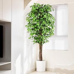 7ft Large Ficus Artificial Trees with Natural Curved Trunks, 84″ Tall Lush Faux Tree for Home Decor Indoor, Green Lifelike Fake Ficus Tree Artificial Plants in Pot（Set of 2）