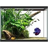 Tetra Glass Aquarium 29 Gallons, Rectangular Fish Tank, Assorted Color