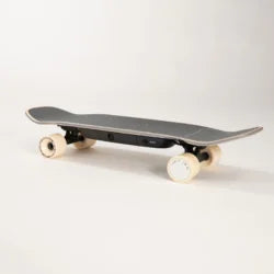 The Liquid Skateboard – LQS-1