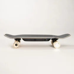 The Liquid Skateboard – LQS-1