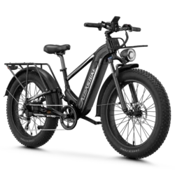 Aipas M2 Xterrain Ebike Aipas-M2-black Baskets.