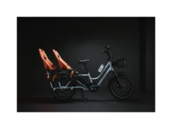Rad Power Bikes RadWagon 5 Electrics Cargo Bikes