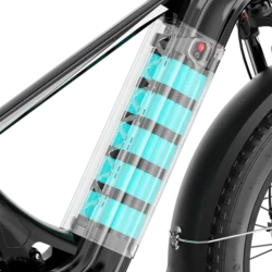 Aipas M2 Xterrain Ebike Aipas-M2-black Baskets.