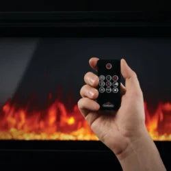 Napoleon Entice 60 Wall Hanging Electrics Fireplaces