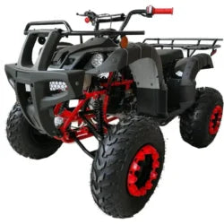 200 ATV Quad 4 Wheelers Utility Full Sizee Adult ATVs Big Youth ATVs