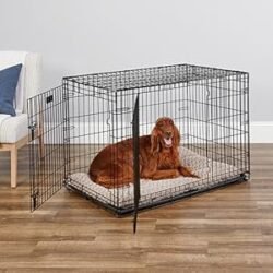 MidWest Homes for Pets 42-Inch iCrate for Large Breeds, 71-90 lbs, Double Door Folding Dog Crate with Divider Panel, Leak-Proof Tray & Secure Latches, Portable, Durable & Easy to Assemble