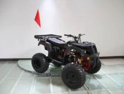 Rps 200cc Utiliity 169 cc ATV