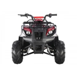 Tao Motors D125 Kids ATVs