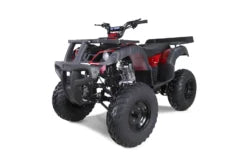 Taotao 250 Rhiino Adult Utility ATV