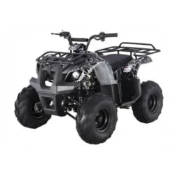 Tao Motors D125 Kids ATVs