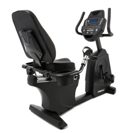 Pro Series Recumbent Bike