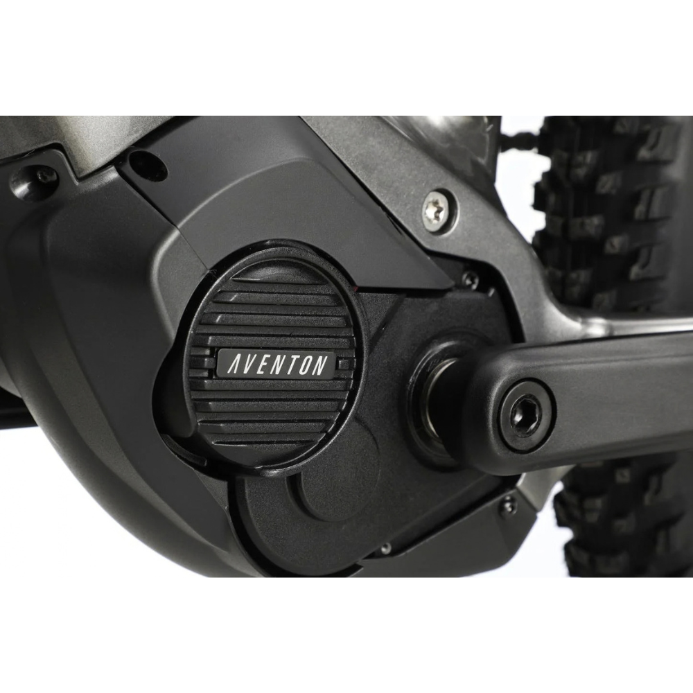 Aventon-Ramblas-eMTBs._2.png