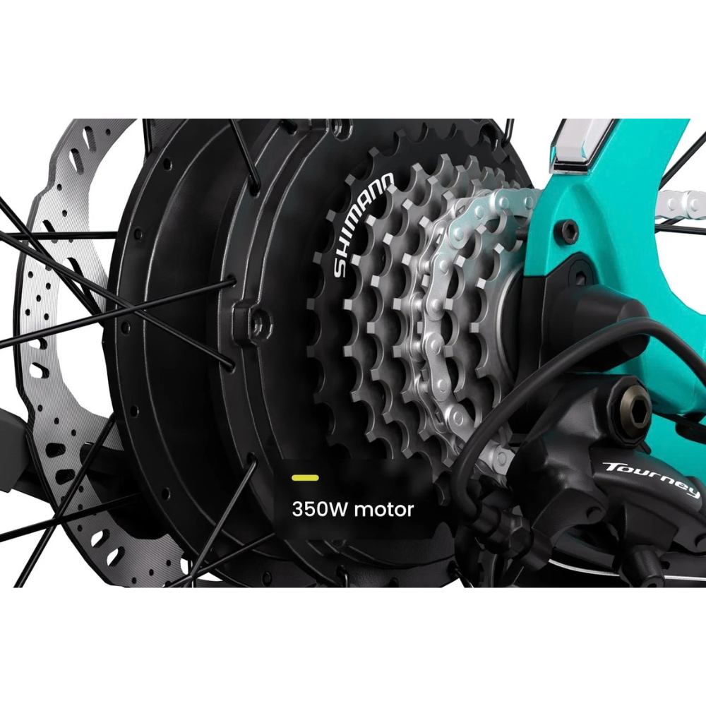 Aventon-Solteras-2.5._6.png
