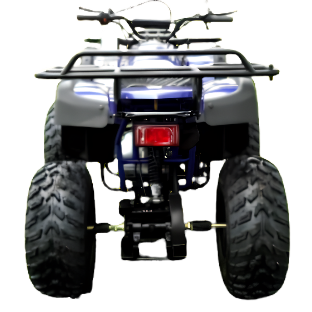 Rps-200cc-Utiliity-169-cc-ATV_2.png