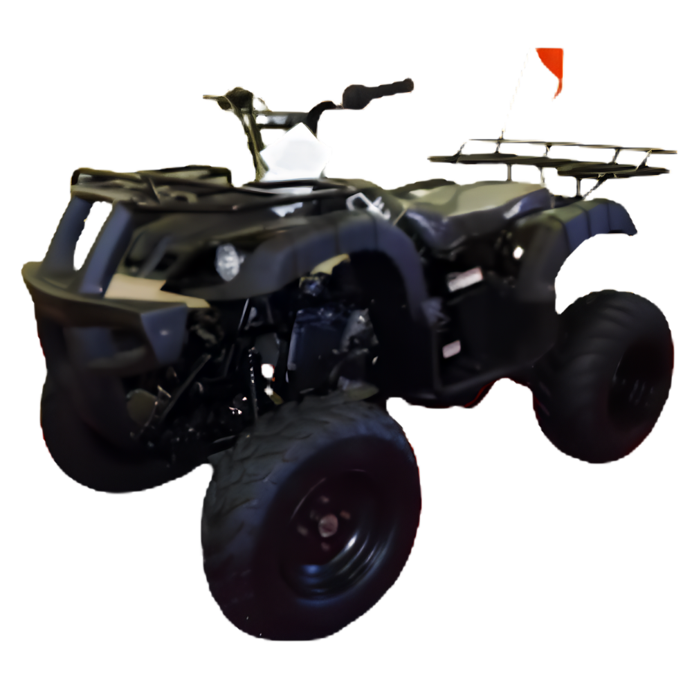 Rps-200cc-Utiliity-169-cc-ATV_3.png