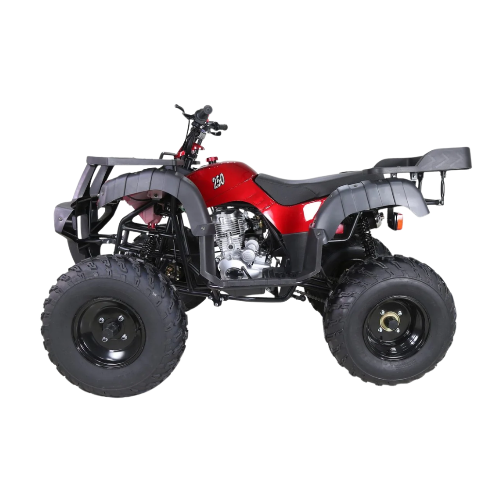 Taotao-250-Rhiino-Adult-Utility-ATV_1.png