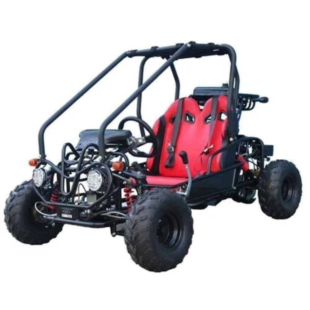 Taotao-GK110-Kids-Gas-Go-Kart-Dune-Buggys._1.png