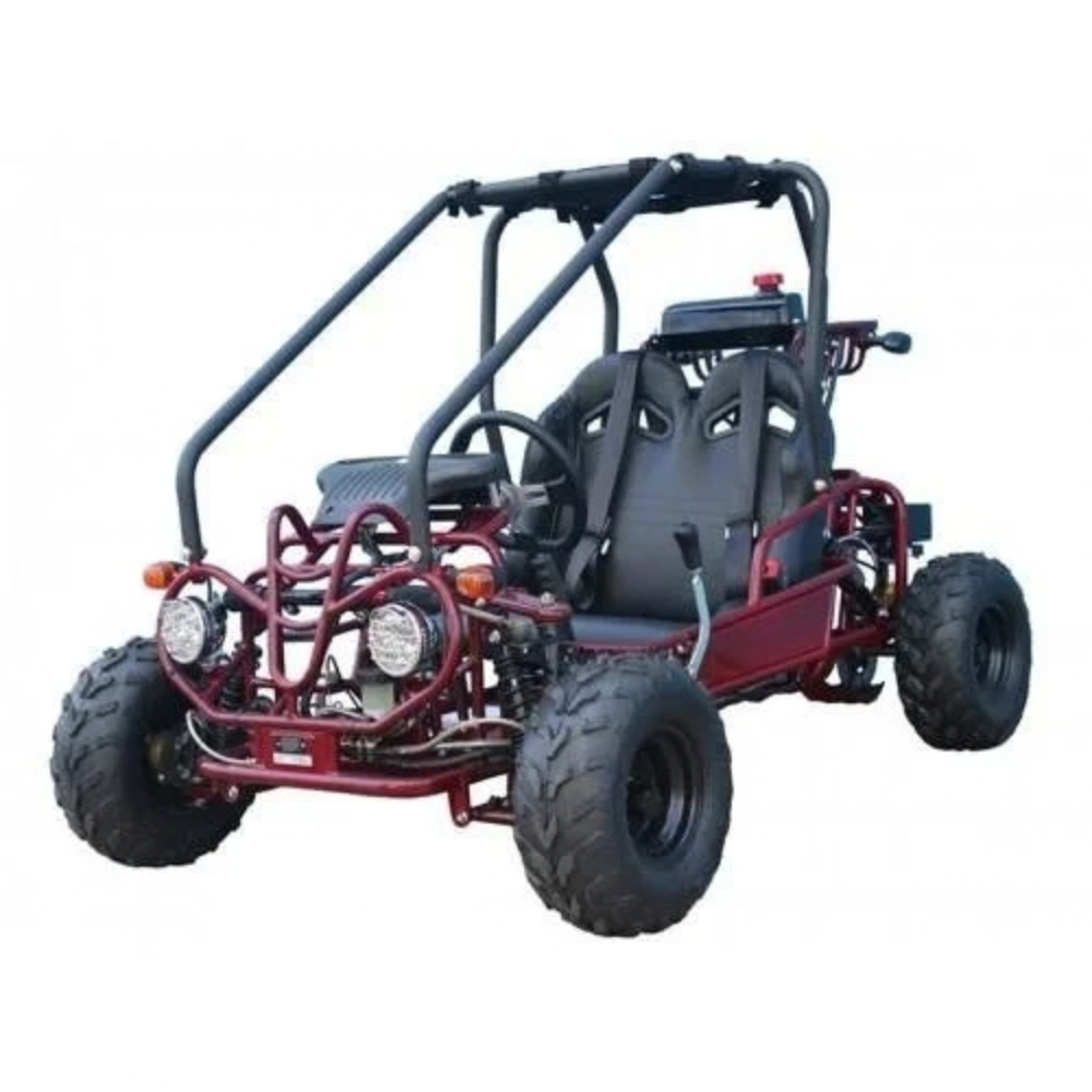 Taotao-GK110-Kids-Gas-Go-Kart-Dune-Buggys._2.png