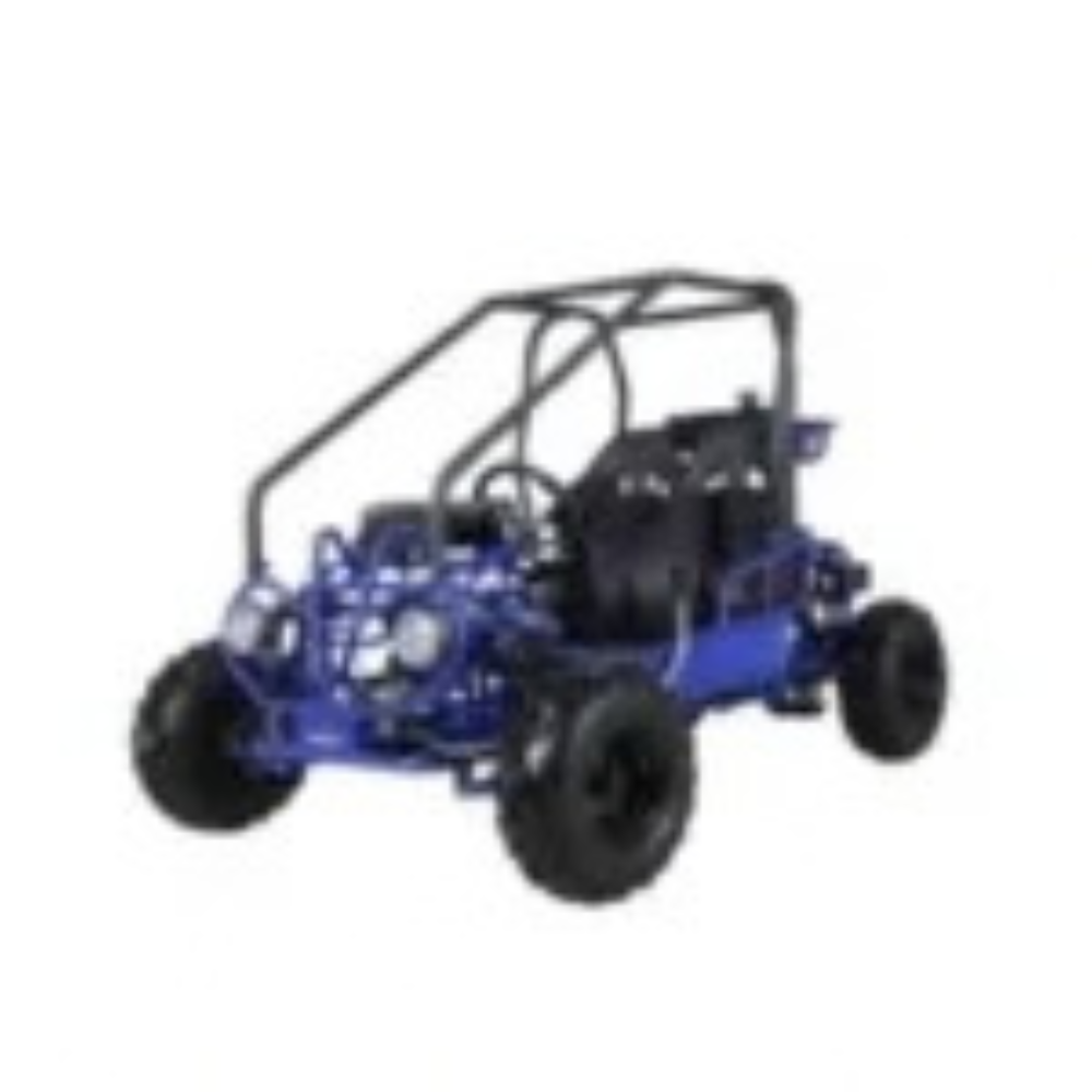 Taotao-GK110-Kids-Gas-Go-Kart-Dune-Buggys._4.png