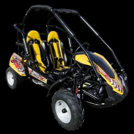 TrailMaster Blazer 200R Mid Go- Karts.