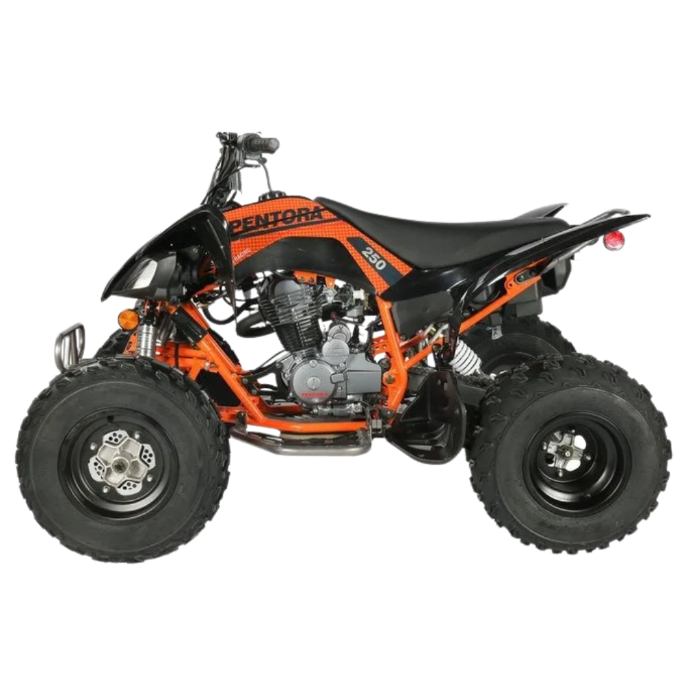 Vitaccii-Pentora-Racing-ATV_3-1.png
