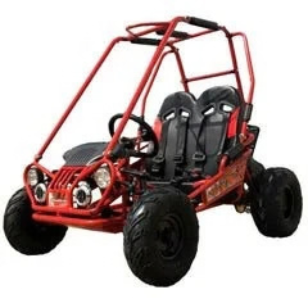 Trailmaster-Mini-XRX-2-Seater-GO-KART-EAGLE-SERIES-163cc-Blues._1.png