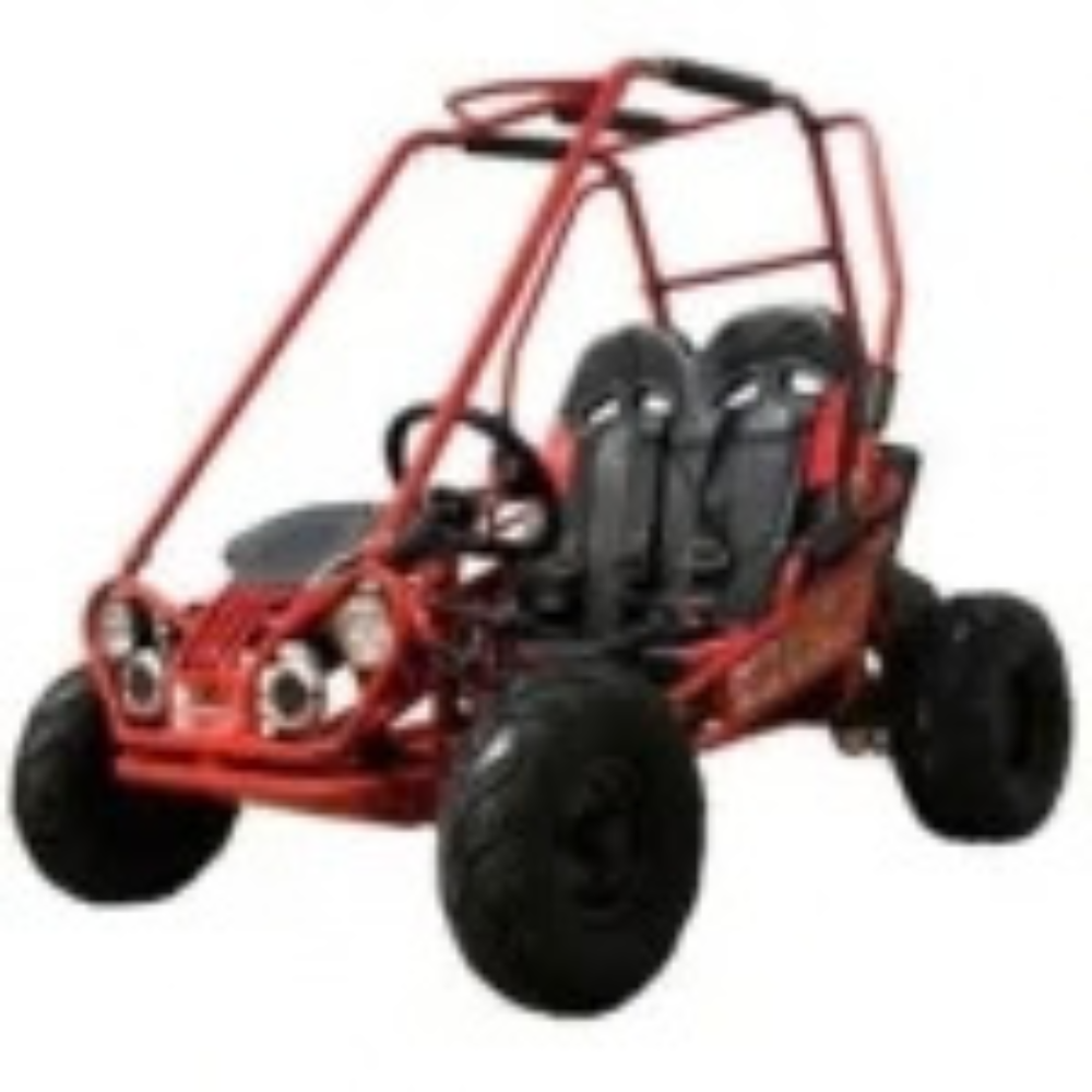 Trailmaster-Mini-XRX-2-Seater-GO-KART-EAGLE-SERIES-163cc-Blues._4.png